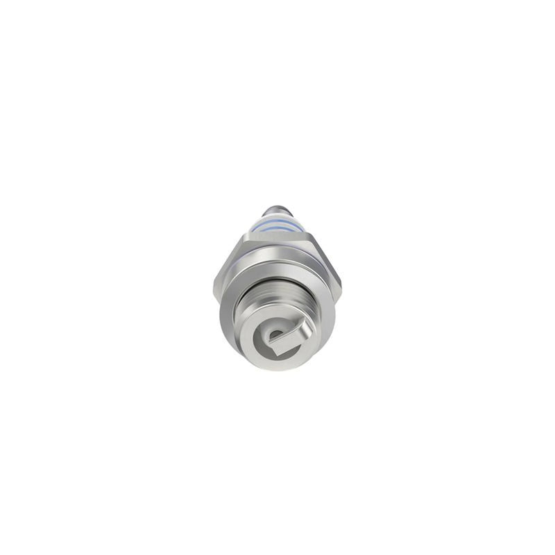 Bosch Engine Spark Plug