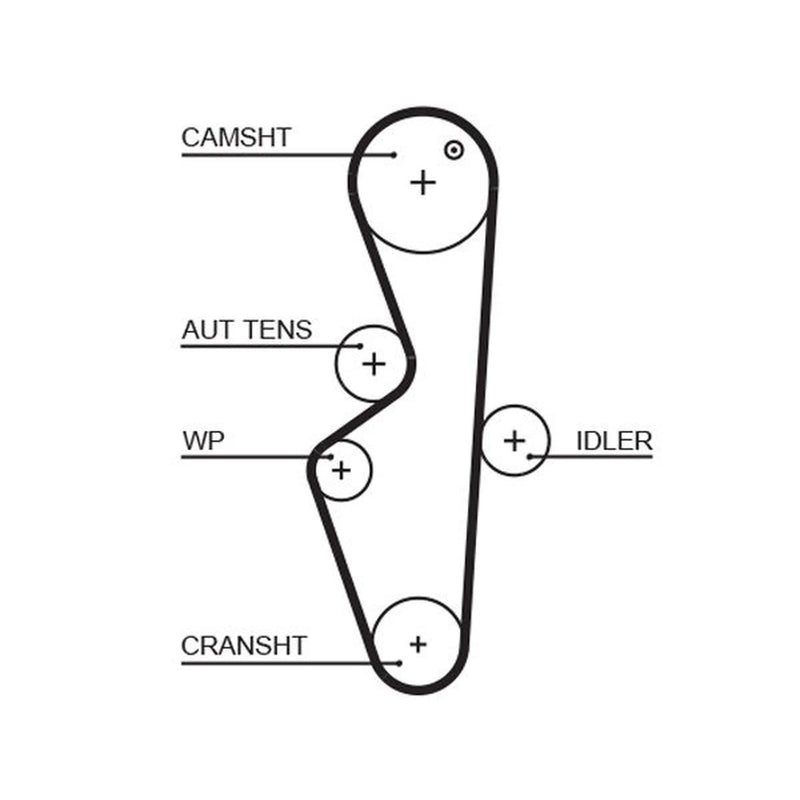 Gates Timing Belt Cambelt 106 Teeth fits Rover Cityrover 2003-2005 1.4