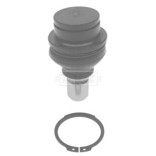 Borg & Beck Ball Joint Lower BBJ5662