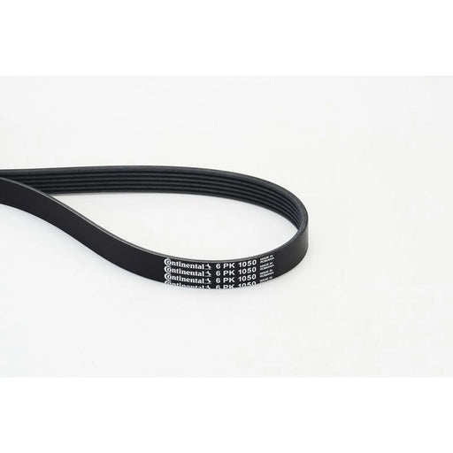 Continental CTAM Multi V-Ribbed Drive Belt fits Audi A3 2003-2013 1.9 2.0