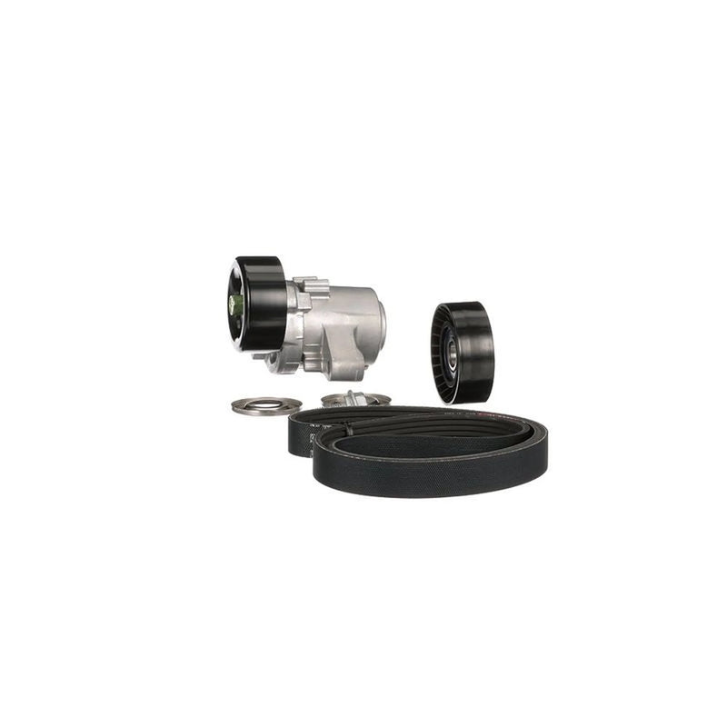 Gates V-Ribbed Belt Set K046PK2625