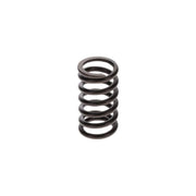 Bosch Compression Spring