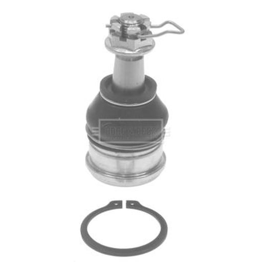 Borg & Beck Ball Joint Lower BBJ5665