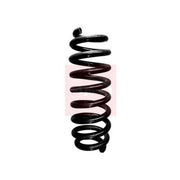 Apec Rear Suspension Coil Spring ACS1717