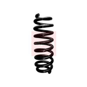 Apec Rear Suspension Coil Spring fits BMW 3 2004-2013