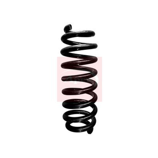 Apec Rear Suspension Coil Spring fits BMW 3 2004-2013