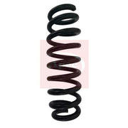 Apec Rear Suspension Coil Spring ACS1623