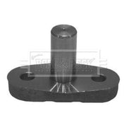 Borg & Beck Steering Kingpin BKP5831