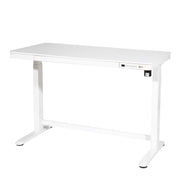 Dellonda Single Motor Ultra-Quiet Electric Desk with Control Panel USB Port Dellonda - Dynamic Drive
