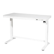 Dellonda Single Motor Ultra-Quiet Electric Desk with Control Panel USB Port Dellonda - Dynamic Drive