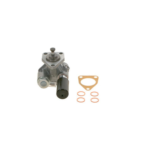 Bosch Fuel Pump Assembly