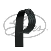 Gates Multi V-Ribbed Drive Belt fits Mercedes-Benz Actros 1996-2003