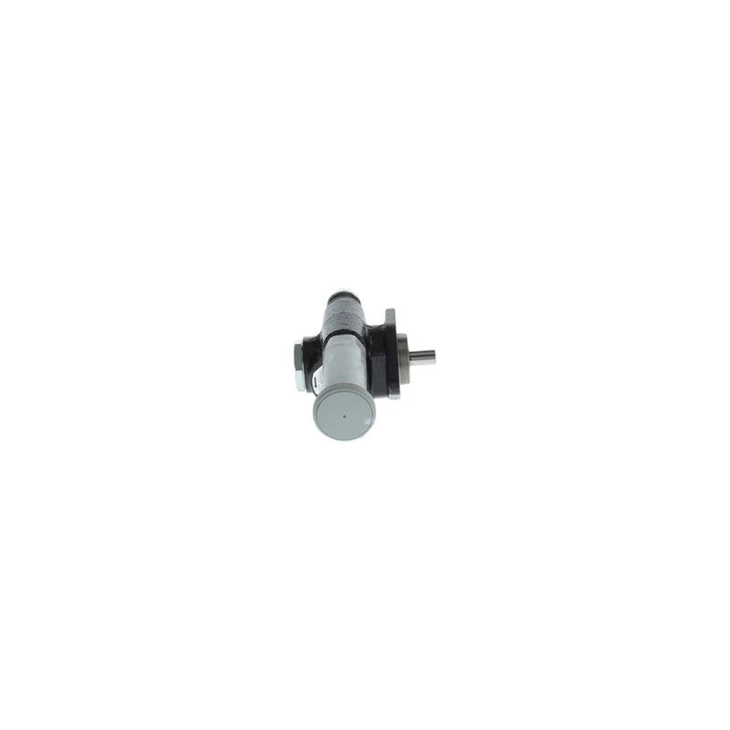 Bosch Fuel Pump Assembly