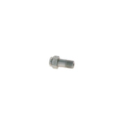 Bosch Fuel Injection Control Valve