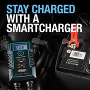 Ring 4A Smart Battery Charger and Battery Maintainer LCD Display 6/12v Ring Automotive - Dynamic Drive