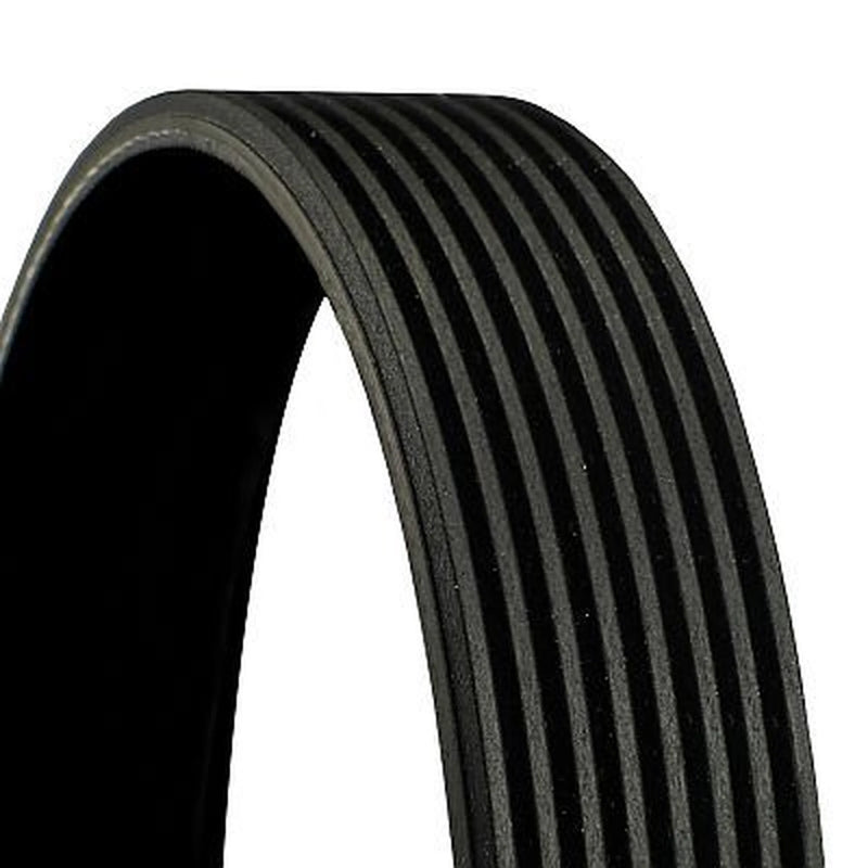 Continental CTAM Multi V-Ribbed Drive Belt fits Man Lion S Intercity 2015 on