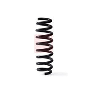 Apec Rear Suspension Coil Spring ACS2010