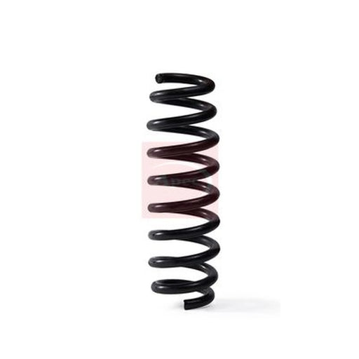 Apec Rear Suspension Coil Spring ACS2010
