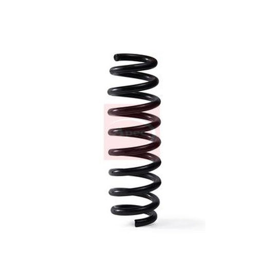 Apec Rear Suspension Coil Spring fits BMW 1 2007-2013