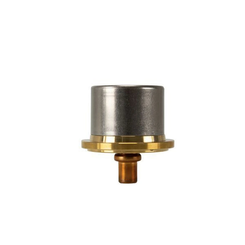 Mahle Thermostat,Coolant