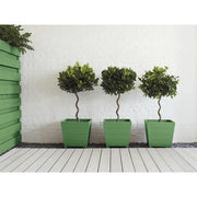 Ronseal Garden Paint Clover 250ml Ronseal - Dynamic Drive