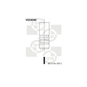 BGA Engine Intake Valve 36mm Head V018344