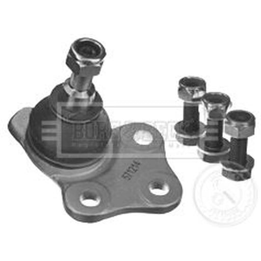 Borg & Beck Ball Joint Lower BBJ5689