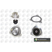 BGA Engine Cooling Water Pump CP7208T