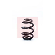 Apec Rear Suspension Coil Spring ACS1171