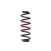 Apec Rear Suspension Coil Spring ACS1771