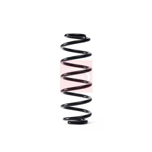 Apec Rear Suspension Coil Spring ACS1771