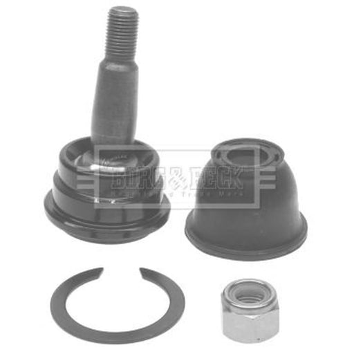 Borg & Beck Ball Joint Lower BBJ5334