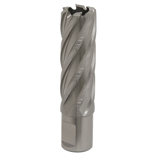 Sealey Rotabor Cutter HSS22mm Cut Depth 50mm RBHSS22L Sealey - Dynamic Drive