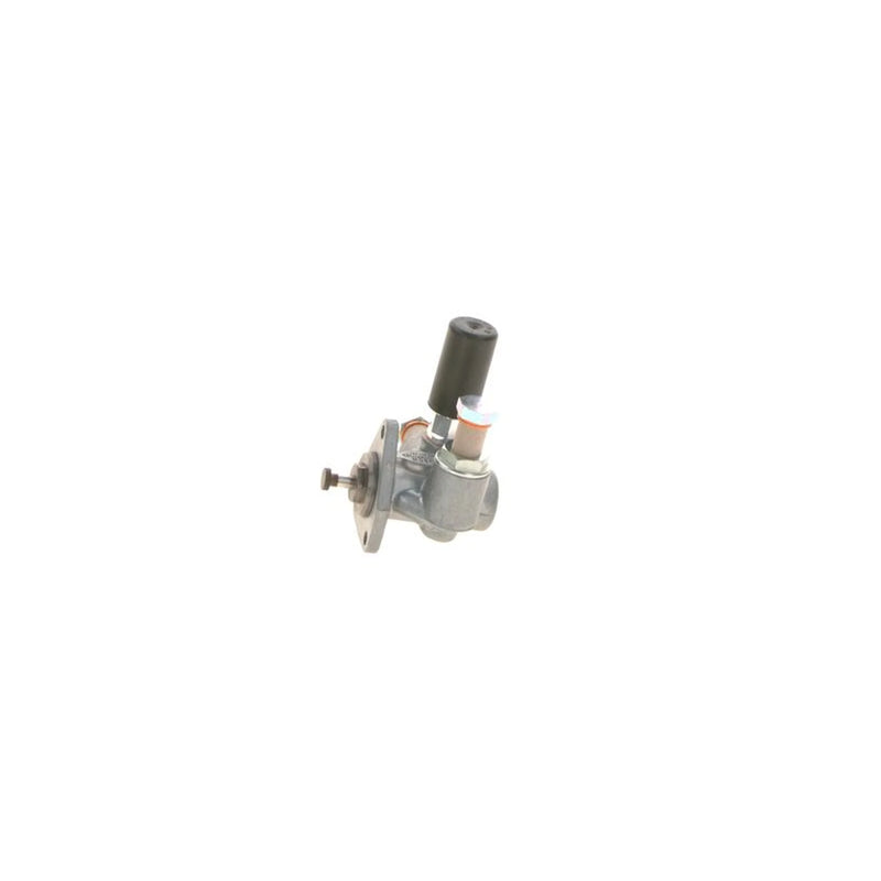 Bosch Fuel Pump Assembly