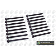 BGA Cylinder Head Bolt Set M13 BK2392