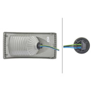 Hella Tail Light / Lamp P21/5W Right