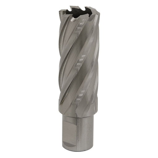 Sealey Rotabor Cutter HSS24mm Cut Depth 50mm RBHSS24L Sealey - Dynamic Drive