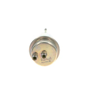 Bosch Fuel Pressure Accumulator 0 438 170 004