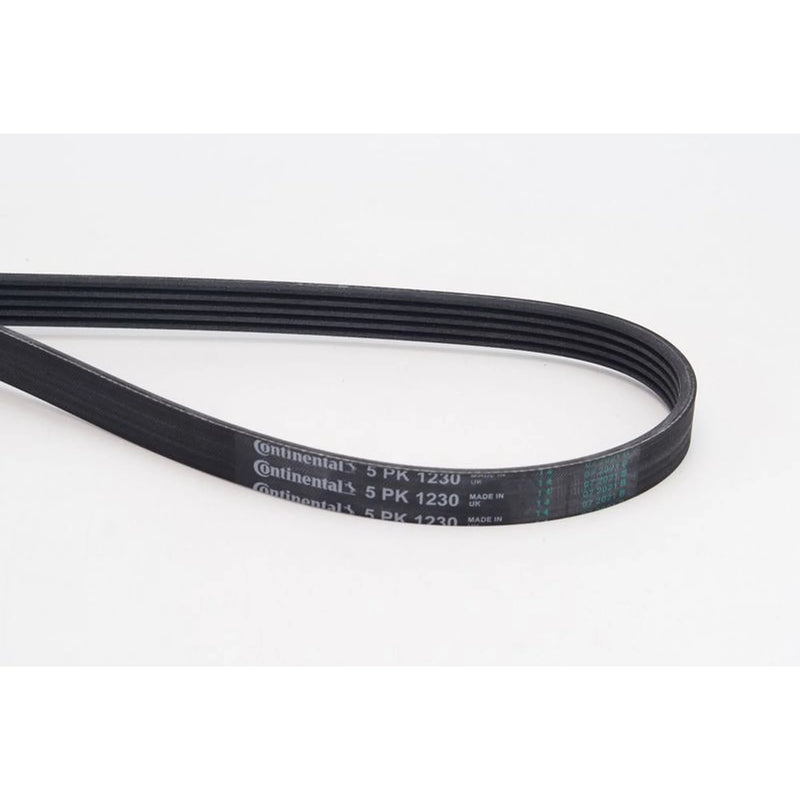 Continental CTAM Multi V-Ribbed Drive Belt fits Citroën Bx 1983-1993 1.8