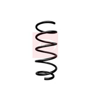 Apec Rear Suspension Coil Spring ACS2106