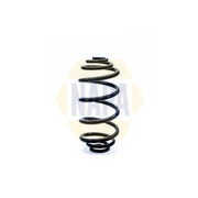 NAPA Rear Suspension Coil Spring fits Opel Vectra C 2002-2009