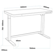 Dellonda Single Motor Ultra-Quiet Electric Desk with Control Panel USB Port Dellonda - Dynamic Drive