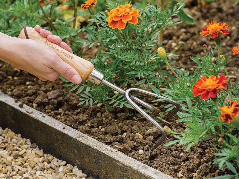Kent & Stowe Stainless Steel Hand 3-Prong Cultivator, FSC® Kent & Stowe - Dynamic Drive