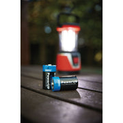 Draper PowerUP Ultra Alkaline D Batteries (Pack of 12) 03980 Draper - Dynamic Drive