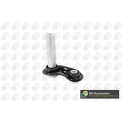 BGA Control/Trailing Arm Rear Right TRC0947