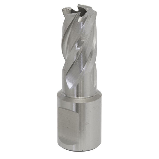 Sealey Rotabor Cutter HSS15mm Cut Depth 25mm RBHSS15S Sealey - Dynamic Drive
