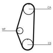 Continental CTAM Timing Belt Cambelt 128 Teeth fits Seat Cordoba 1994-2002 1.4