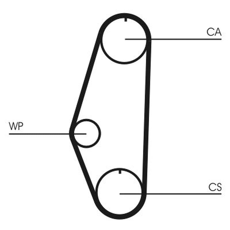 Continental CTAM Timing Belt Cambelt 128 Teeth fits Seat Cordoba 1994-2002 1.4