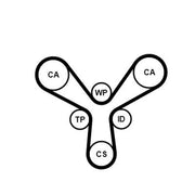 Continental CTAM Timing Belt Cambelt 197 Teeth fits Honda Accord 1998-2003 3.0