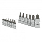Carlyle Tools 13Pc  Torx Bit Socket Set - image 1